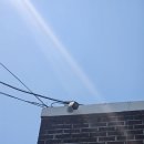 아랫말농장 | 아산CCTV설치 천안에서의 CCTV 설치 체험기