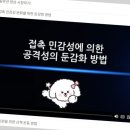 낭창한 강아지 이미지