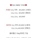 비바몽 이미지