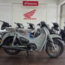 2026년(혼다코리아) 커브C125A 그레이 신차 선착순 프로모션 실시 이미지