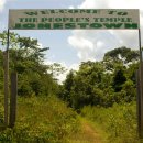 광기농장 이미지