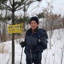 아홉사리로 이미지
