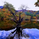 주산지 주차장 이미지