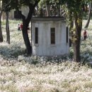 삼문공설운동장 이미지