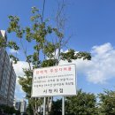 소리천로8번길 이미지