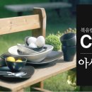 쉬즈커피