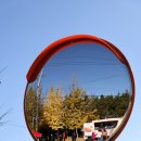 거창읍-11 | 경남 은행나무 명소 거창 의동마을 11/10