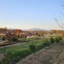 부안 줄포만 노을빛 정원 축구장 이미지