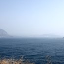 제주 송악산 외륜 일제동굴진지 | 송악산(제주도)