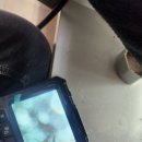 해경빌라 | 🚰 부산 화명동 싱크대막힘 해결 후기, 명절 후 갑자기 물이 안 내려가요 😭