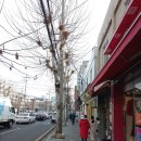 서독안경 이미지