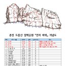 인어루트 이미지