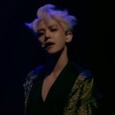 체리쉬디톡스(CHERISH DETOX) | BAEKHYUN : LIGHT 백현 첫 솔로 콘서트 후기