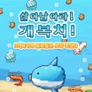개복치마켓