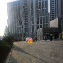 단지 내 지상출입차량 단속 요청 건 이미지