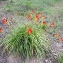 압량보건지소 이미지