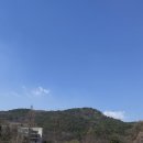 새생명지역아동센터 | [학점교류]서울대 벚꽃투어_4월의 봄 캠퍼스 알차게 즐기기