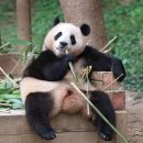 세환쇼핑 이미지