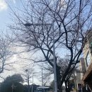 플라워스튜디오민아 이미지