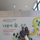 마포아트센터를 꽉 채운 감동, [2026평화나무 합창단 공연후기]와 지보이스 특별출연