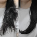 태강빌딩 | 강릉유천미용실 &#39;에코레비&#39; 매직세팅펌 잘하시는 유나샘