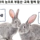 월천컴퍼니 이미지