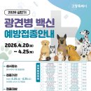 벳케어동물병원