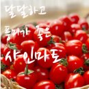 농업회사법인(주)상월 이미지