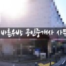 수완바른공인중개사사무소 | 광주 신가동 수완 지구 대량 주차 가능한 넓은 주차장 상가 임대(160평, 60평, 100평, 50평) 분할 가능