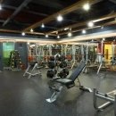 MVGym Daum카페