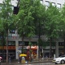 쥬씨(공덕점) 네이버블로그