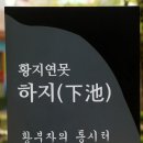 황지 - 의정부시 | 황지