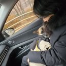 토리프로젝트 이미지