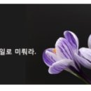 제이티인터내셔널코리아(주) - 종로구 종로2가 | 제이티인터내셔널코리아(주)