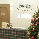 대구애견미용 강아지호텔 모여라솜뭉치 네이버블로그