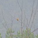 낙동강변24 이미지