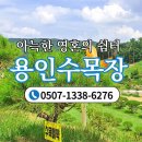 경안천로 258번길 이미지