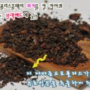 팩코 이미지