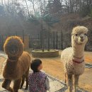 (주)오케이약품 | 수달앤쥬 용인 실내동물원 아이랑 가본 후기