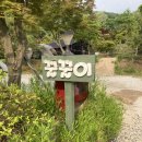 단풍숲캠핑장 이미지