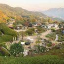 목인박물관 목석원 티스토리