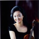 바이올린 이미지