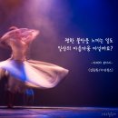 Shall We Dance 이미지