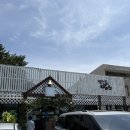 더밥스 | 강릉 카페 갤러리밥스 웨이팅후기, 초당옥수수커피