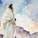 화평동산 | 로마서 5장 주석, 2026년 6월 10일, Commentary on Romans 5