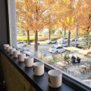 덕풍2동행정복지센터(28-263) | 창원가로수길 새로운 브런치카페 / 가나다라 솔직후기