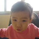 몬순이 이미지