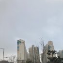 신우희가로아파트 | [에너지잡고 틈가드 천안점] 충청북도 충주시 신우희가로 110동 창호 외풍차단 벌레차단 창문바람막이 시공