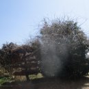 순천삼산중학교 이미지