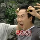 조경나라 이미지